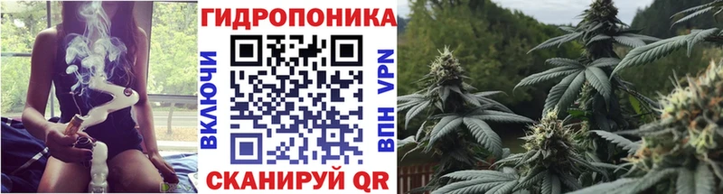 где купить наркоту  Николаевск-на-Амуре  Бошки марихуана MAZAR 